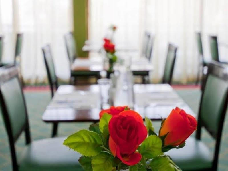 Leonardo Inn Hotel Dead Sea Én-Bokek Kültér fotó